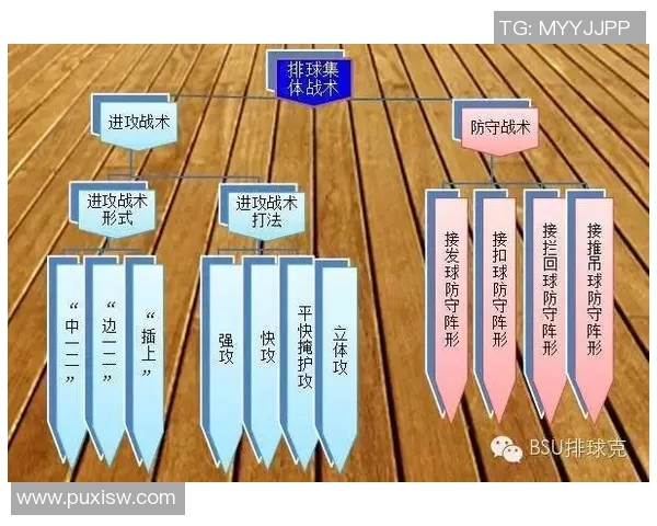 广州排球队速度对比深度解析及战术影响探讨